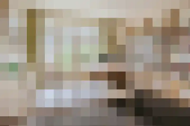 Minervalaan 76 1 Amsterdam thumbnail 22