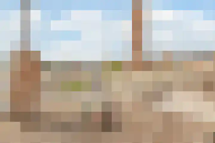 Minervalaan 76 1 Amsterdam thumbnail 28