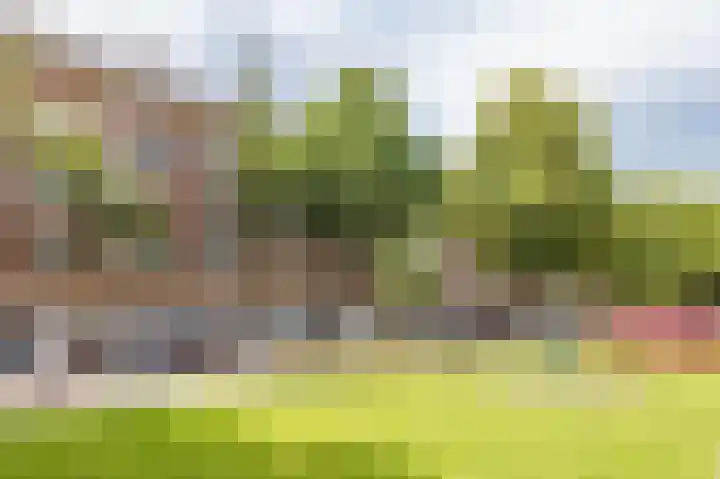 Minervalaan 76 1 Amsterdam thumbnail 38