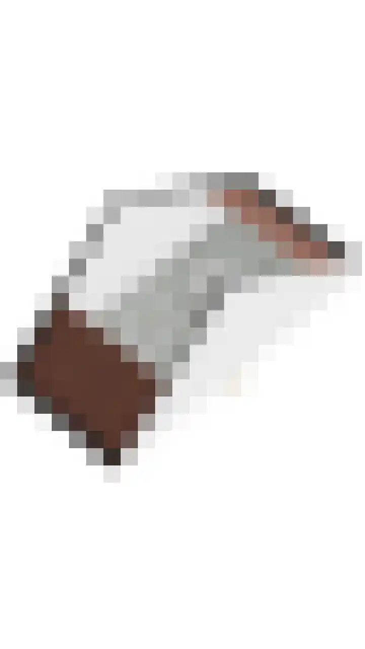 Minervalaan 76 1 Amsterdam thumbnail 48
