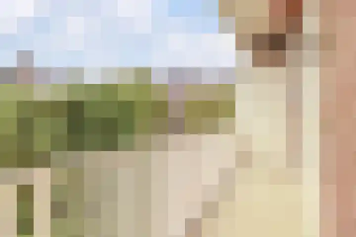 Minervalaan 76 1 Amsterdam thumbnail 5