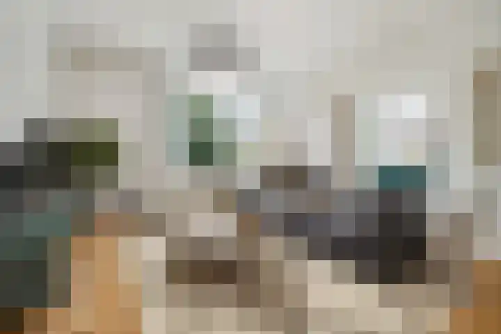 Minervalaan 87 2 Amsterdam thumbnail 12