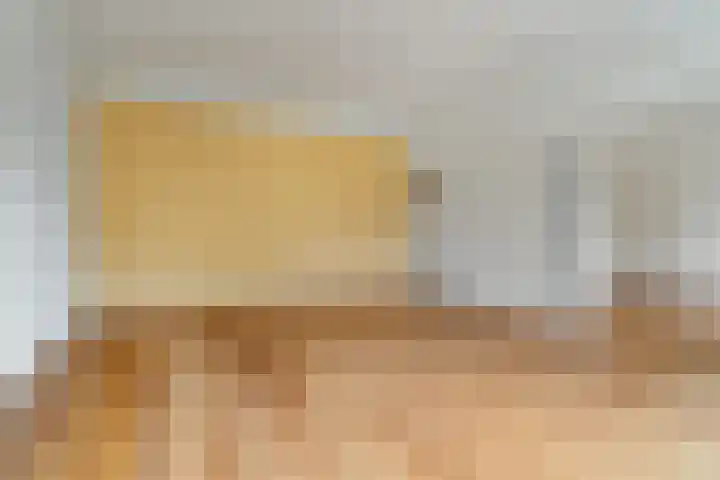 Minervalaan 87 2 Amsterdam thumbnail 15