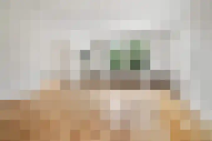 Minervalaan 87 2 Amsterdam thumbnail 17