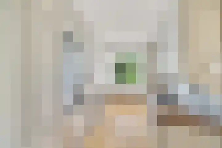 Minervalaan 87 2 Amsterdam thumbnail 19