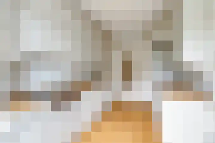 Minervalaan 87 2 Amsterdam thumbnail 20