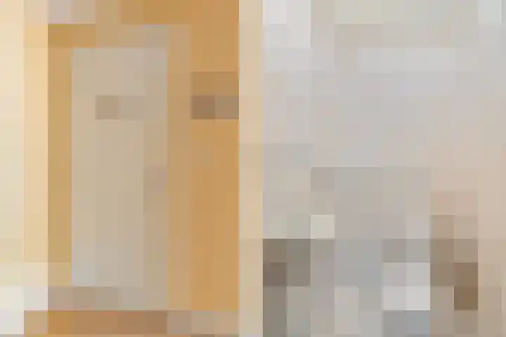 Minervalaan 87 2 Amsterdam thumbnail 23