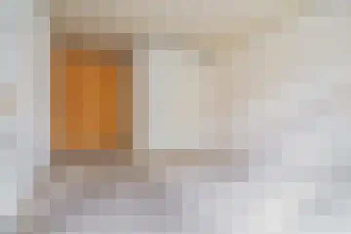 Minervalaan 87 2 Amsterdam thumbnail 27