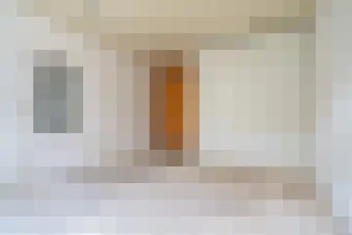 Minervalaan 87 2 Amsterdam thumbnail 28