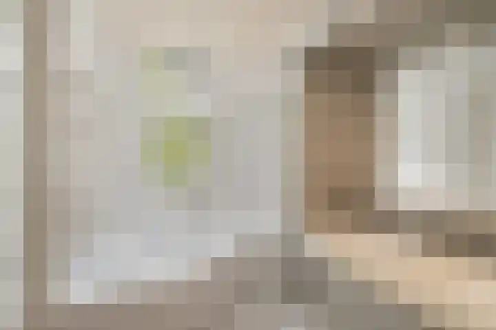 Minervalaan 87 2 Amsterdam thumbnail 32