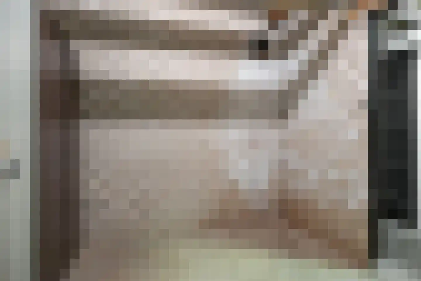 Minervalaan 87 2 Amsterdam thumbnail 37