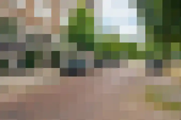 Minervalaan 87 2 Amsterdam thumbnail 4
