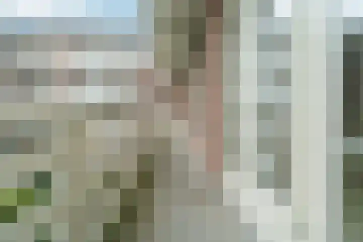 Minervalaan 87 2 Amsterdam thumbnail 45