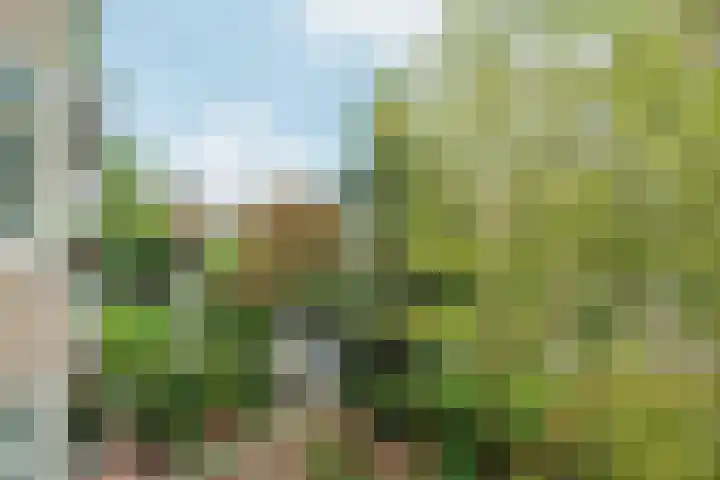 Minervalaan 87 2 Amsterdam thumbnail 47