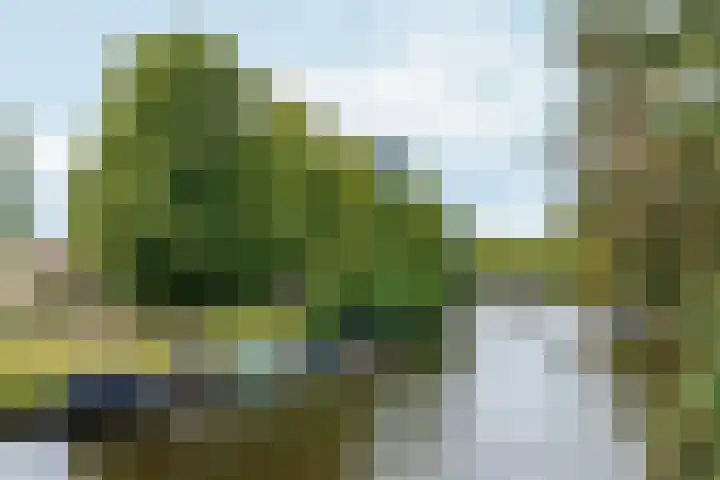 Minervalaan 87 2 Amsterdam thumbnail 49