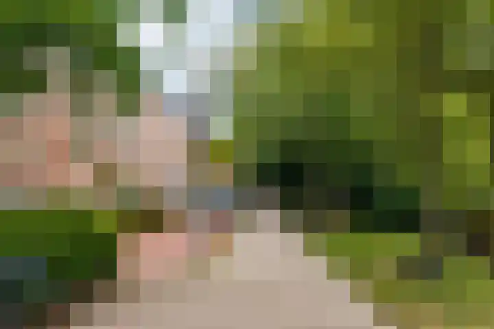 Minervalaan 87 2 Amsterdam thumbnail 5