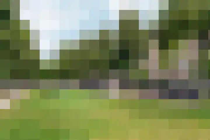 Minervalaan 87 2 Amsterdam thumbnail 50
