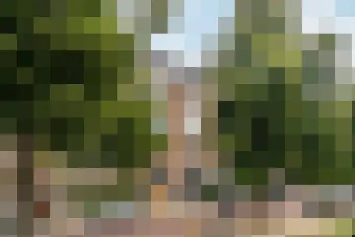 Minervalaan 87 2 Amsterdam thumbnail 51