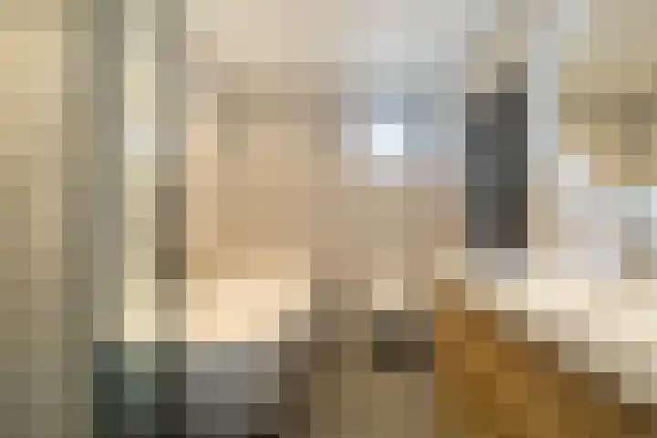 Minervalaan 87 2 Amsterdam thumbnail 56