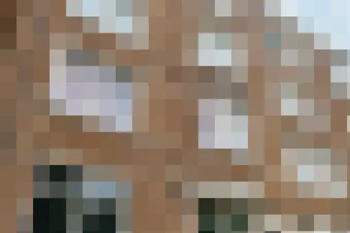 Minervalaan 87 2 Amsterdam thumbnail 6