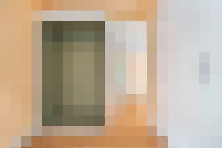 Minervalaan 87 2 Amsterdam thumbnail 9