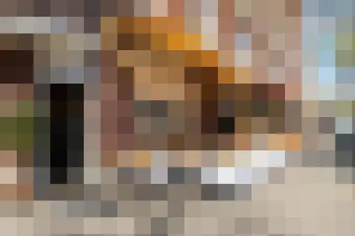 Minervaplein 13 3 Amsterdam thumbnail 16