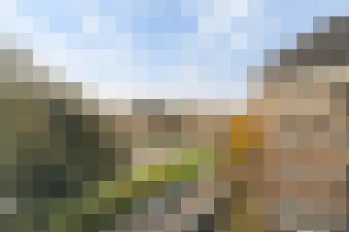 Minervaplein 13 3 Amsterdam thumbnail 6