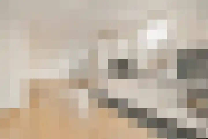 Minervaplein 13 3 Amsterdam thumbnail 9