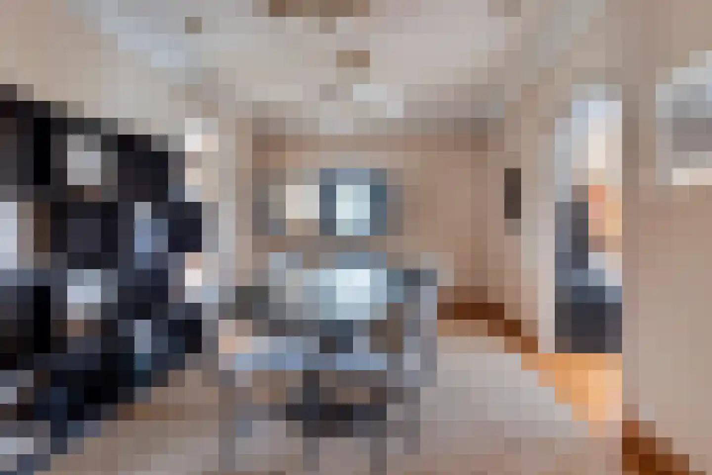 Minervaplein 2 4 Amsterdam thumbnail 11