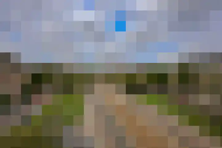 Minervaplein 21 4 Amsterdam thumbnail 33