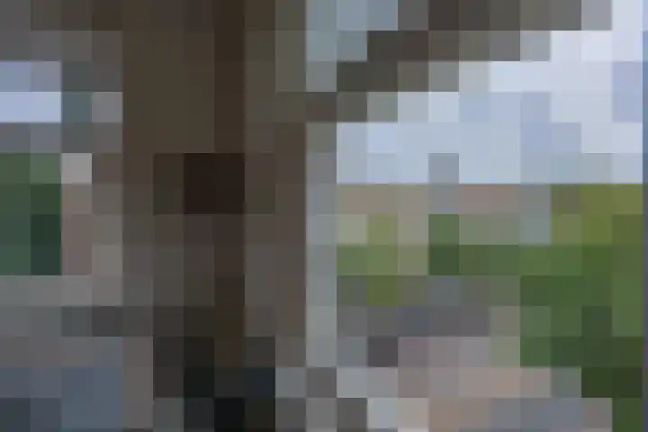 Minervaplein 21 4 Amsterdam thumbnail 35