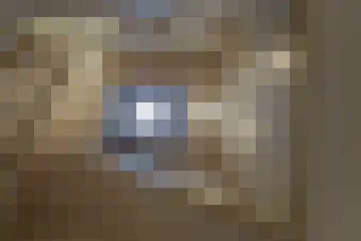 Minervaplein 21 4 Amsterdam thumbnail 36