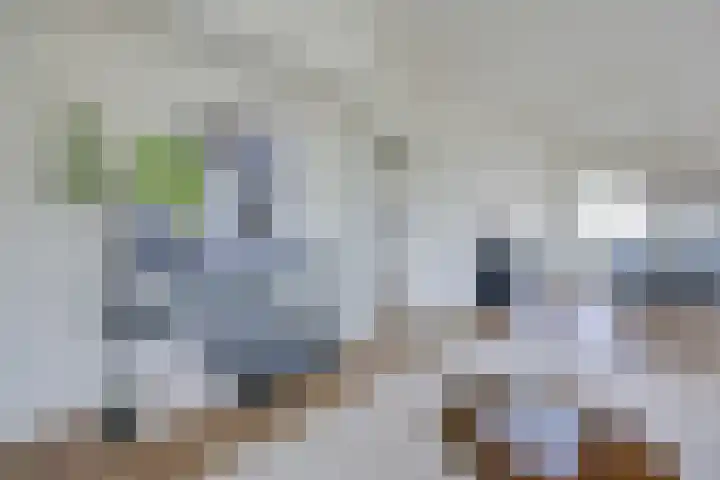 Minervaplein 21 4 Amsterdam thumbnail 7