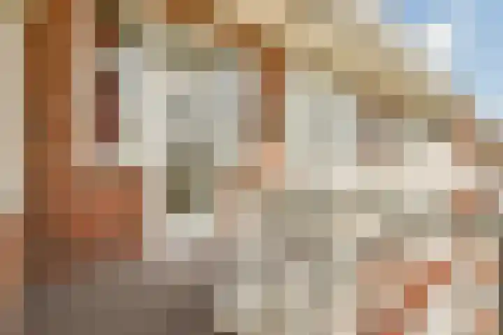Minervaplein 29 3 Amsterdam thumbnail 17