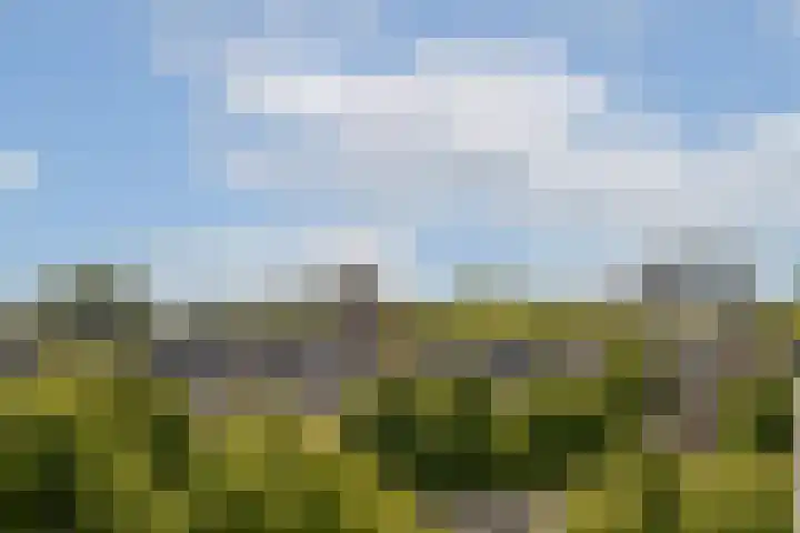 Minervaplein 29 3 Amsterdam thumbnail 25