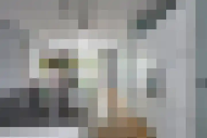 Minervasingel 11 Almere thumbnail 11