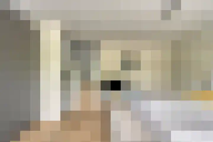 Minervasingel 11 Almere thumbnail 16