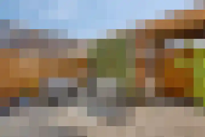 Minervasingel 11 Almere thumbnail 24