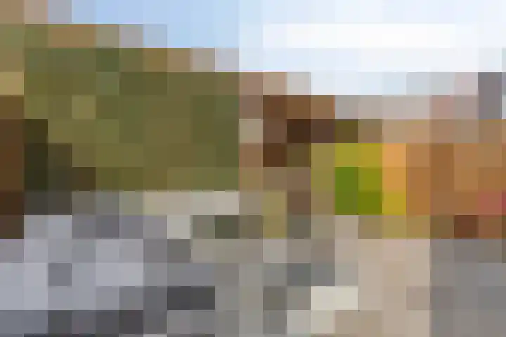 Minervasingel 11 Almere thumbnail 25