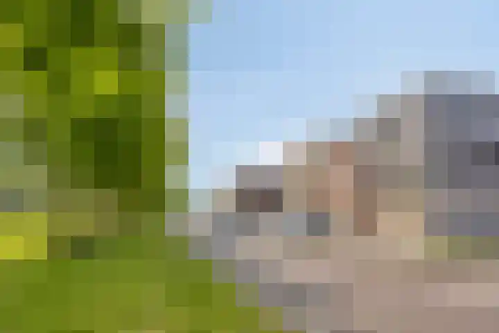 Minervasingel 11 Almere thumbnail 27