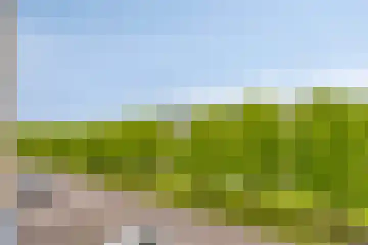 Minervasingel 11 Almere thumbnail 31