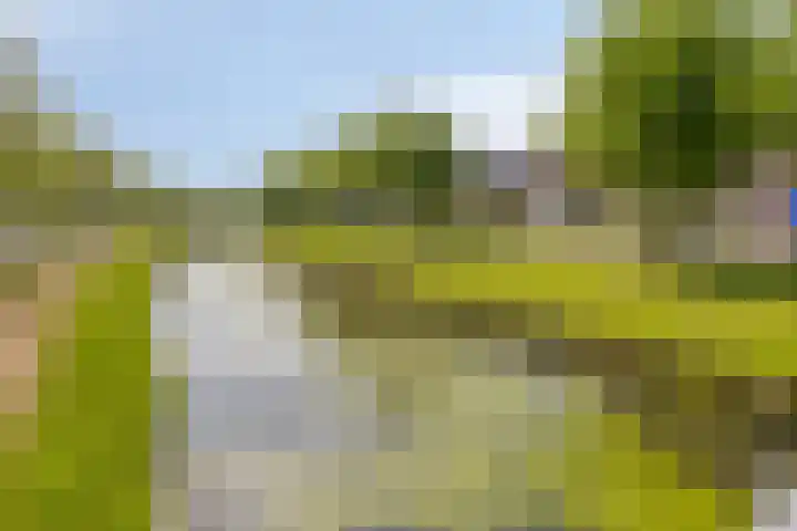 Minervasingel 11 Almere thumbnail 32