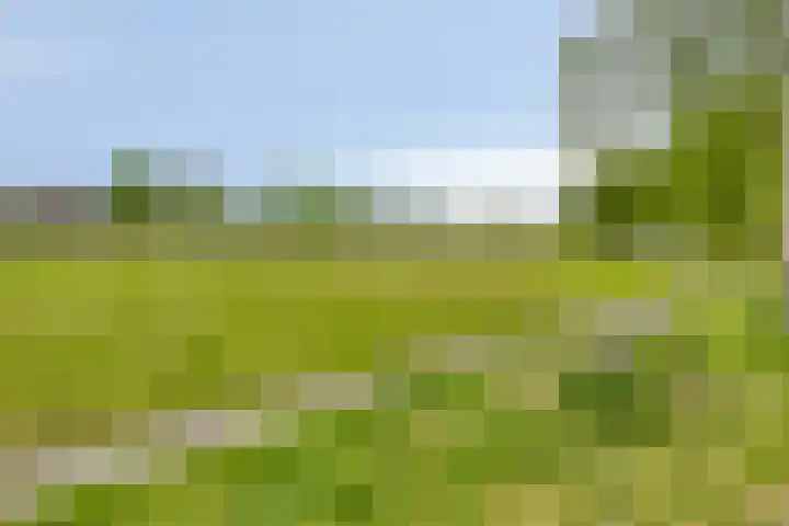 Minervasingel 11 Almere thumbnail 33