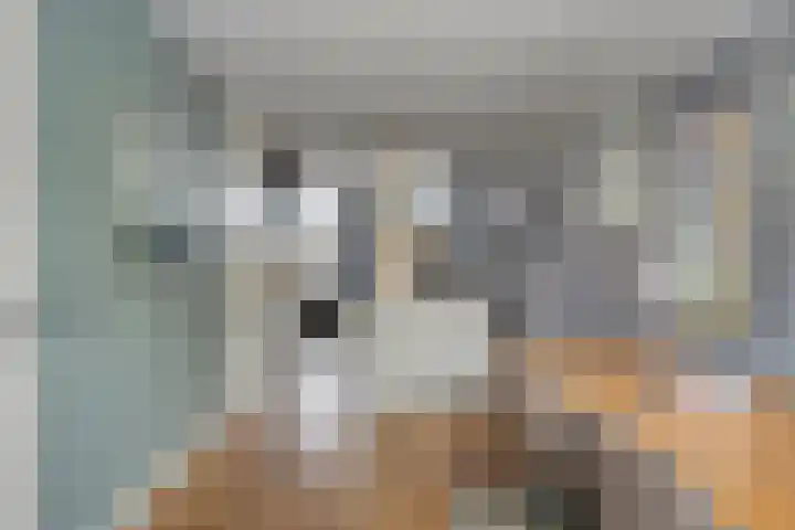Minervasingel 11 Almere thumbnail 4