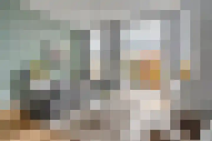 Minervasingel 11 Almere thumbnail 7