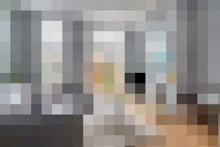 Minervasingel 11 Almere thumbnail 8