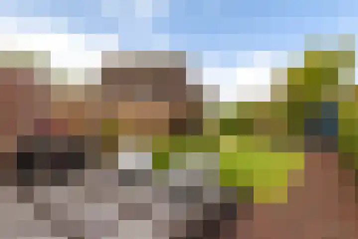 Miniawier 10 Grou thumbnail 29