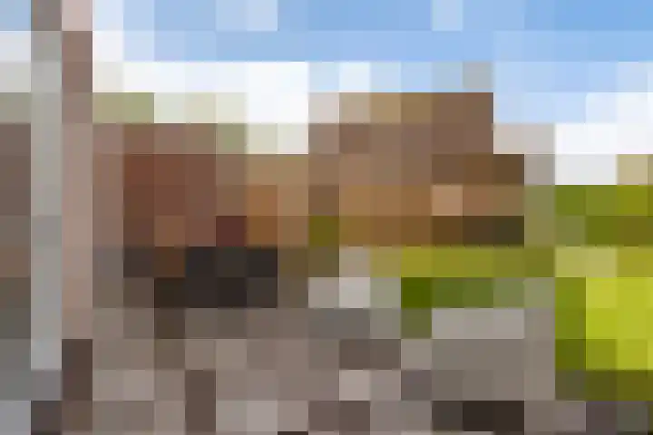 Miniawier 10 Grou thumbnail 30