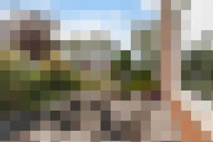 Miniawier 10 Grou thumbnail 8