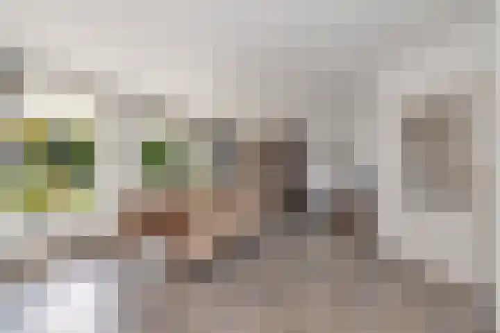 Mink 4 Veldhoven thumbnail 11